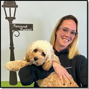 Jess McDonald CPACP, Client Service Manager