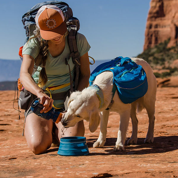 Dog hiking with a backpack and ruffwear.