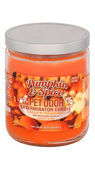 Pet odor exterminator sales candle