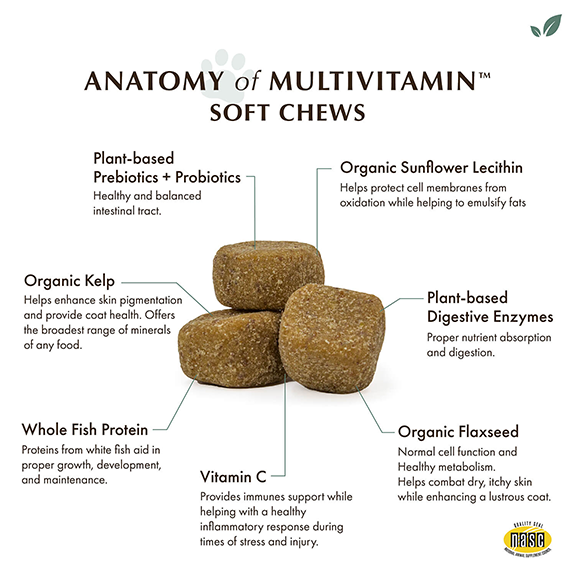 Wholistic Pet Organics Enhanced Daily Multivitamin Soft Chews