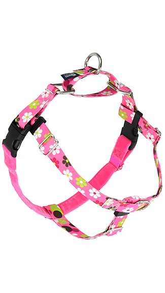 Louis Pup Leather Harness and Leash Set, Paws Circle