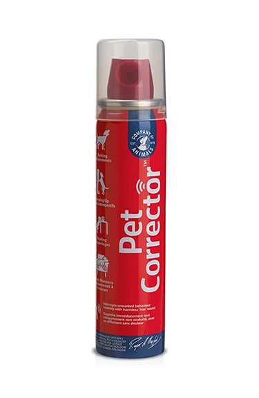 Pet shop corrector holster